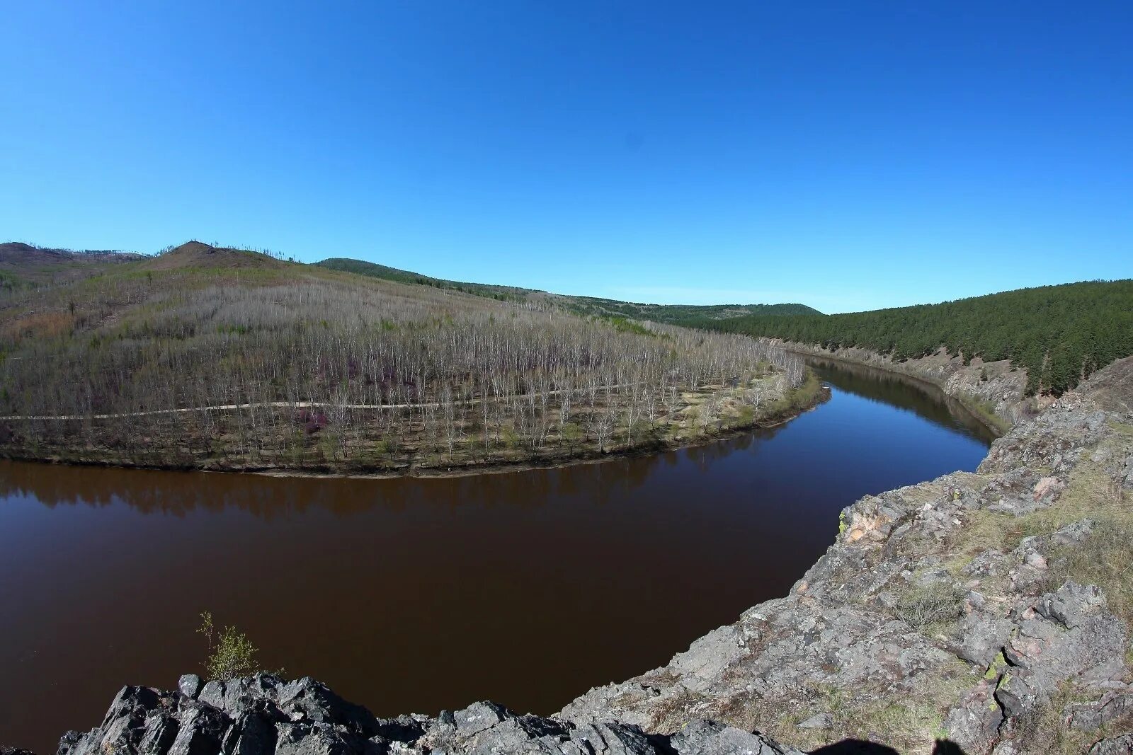 Бассейн реки ингоды. Ингода впадает. Скалы сохатино чита. Река ингода забайкальский край. Шилка.