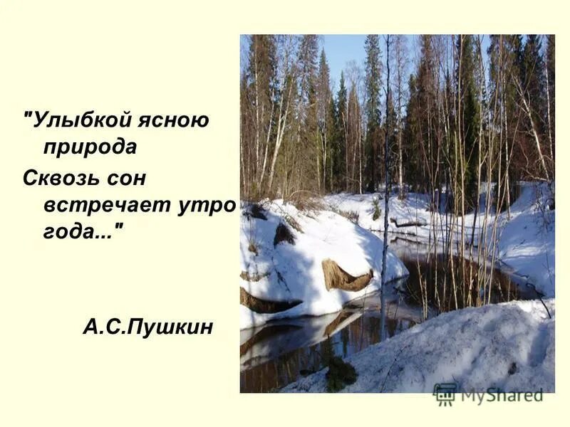 Утро года 5 букв. Улыбкой ясною природа сквозь сон встречает утро года. Пушкин улыбкой ясною природа. Пушкин улыбкой ясною природа сквозь сон встречает утро года. Пушкин утро года.