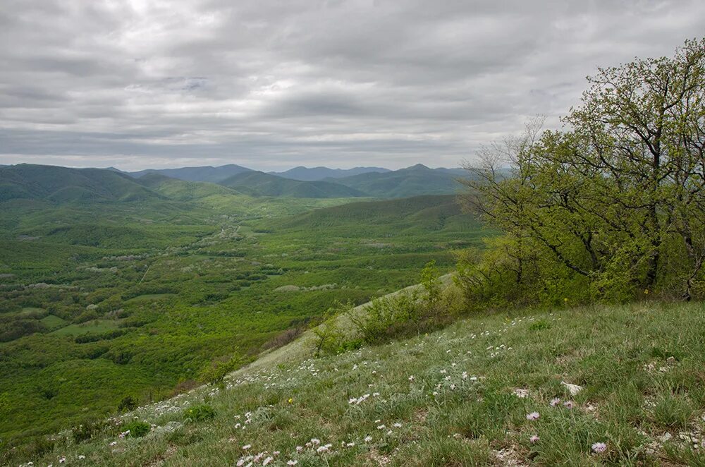 Предгорье станица Калужская. Аджиноурского предгорья[. Предгорья Дагестана. Пейзаж предгорья Краснодарского края.