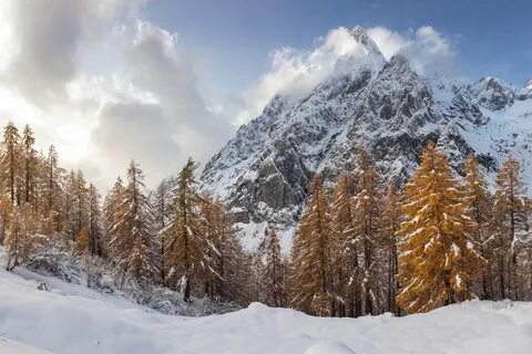 Пейзаж горы ели