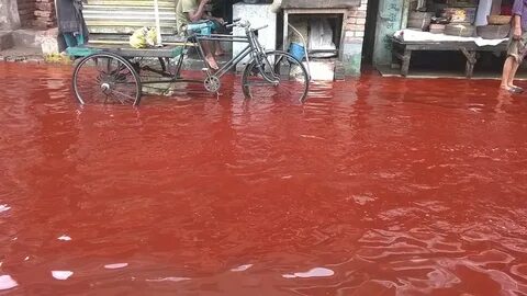 Кровавый дождь явление