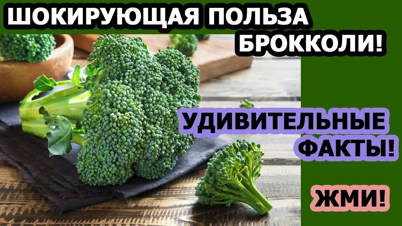 Капуста брокколи витамины. Чем полезна брокколи. Брокколи витамины. Чем полезна брокколи для организма. Что полезного в брокколи.