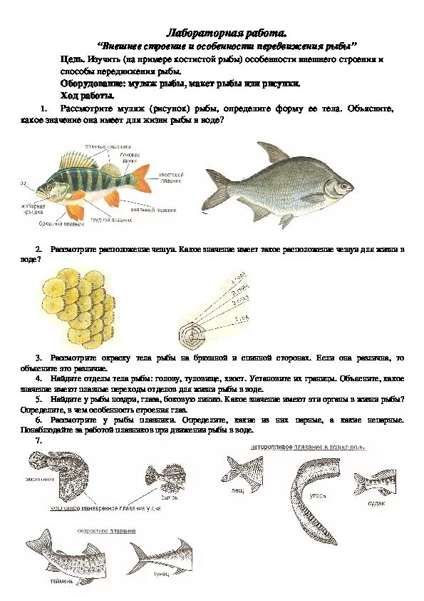 Тест по рыбам 8 класс