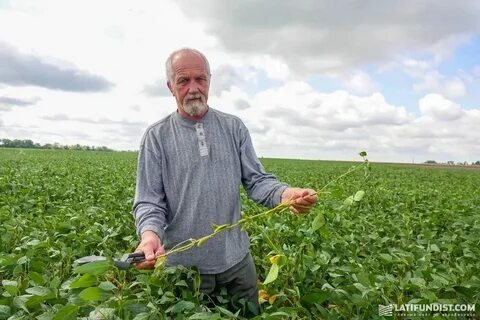 Мировой лидер по выращиванию сои