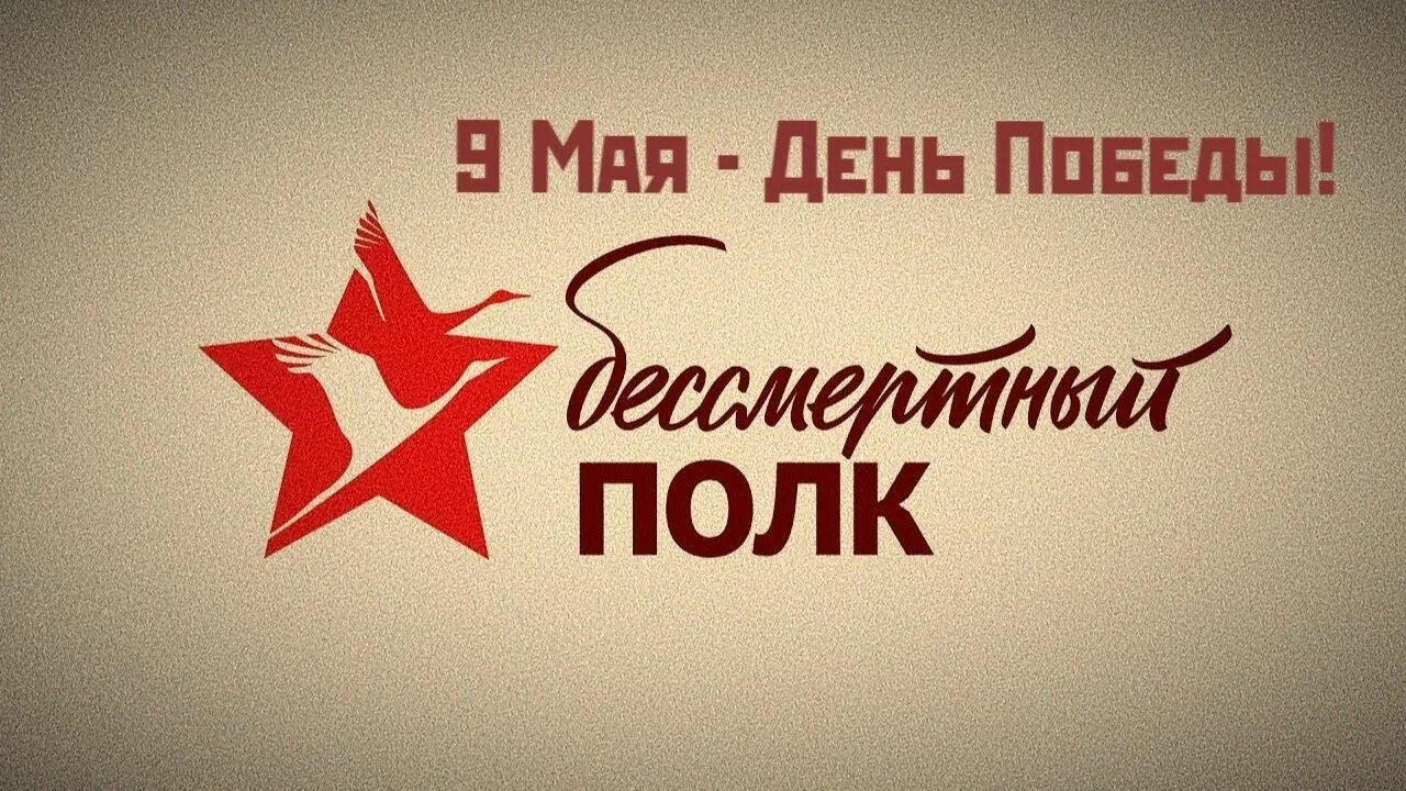 Брендбук 9 мая. Бессмертный полк эмблема. Бессмертный полк эмблема акции. Бессмертный полк надпись.