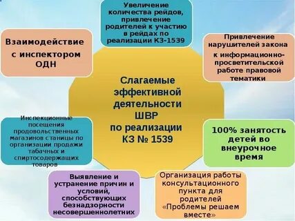 План работы швр на 2024 2025