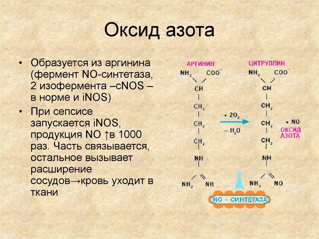 Соединения азота в организме. Реакции образования азота. Образование оксида азота в организме. Аргинин и оксид азота. Оксид азота образуется из аминокислоты.