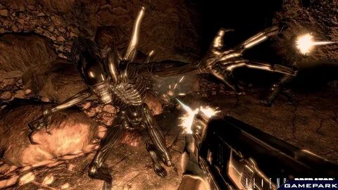 Alien vs predator пк