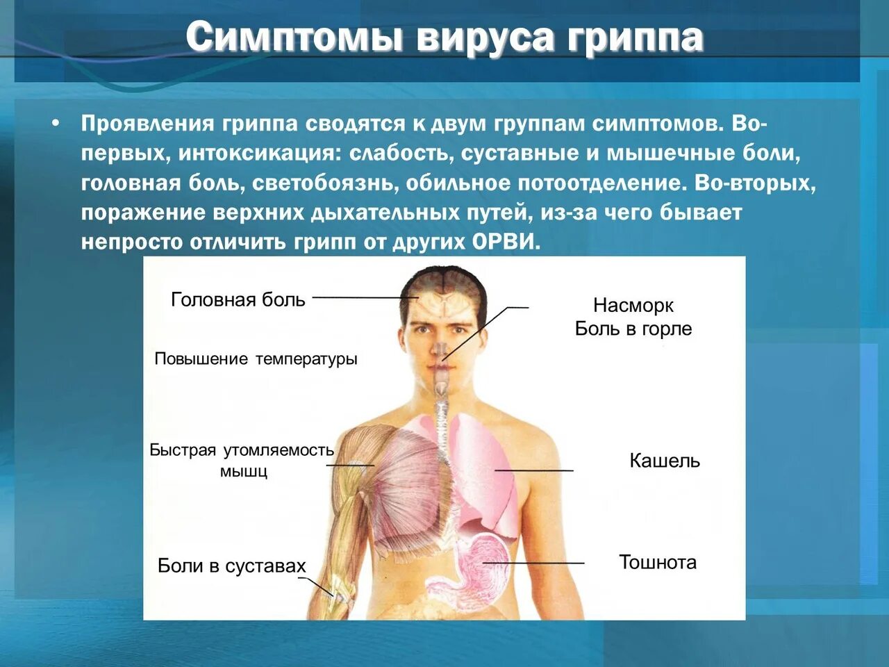 Является основным проявлением заболеваний. Симптомы гриппа. Вирус гриппа симптомы.