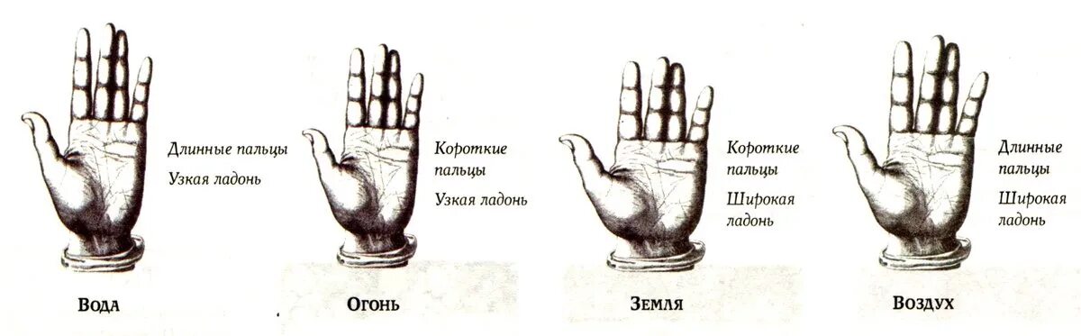 Признак музыкальных пальцев 8 букв. Хиромантия форма руки и пальцев. Форма кисти пальцев характер. Типы пальцев в хиромантии. Типы пальцев на руках.