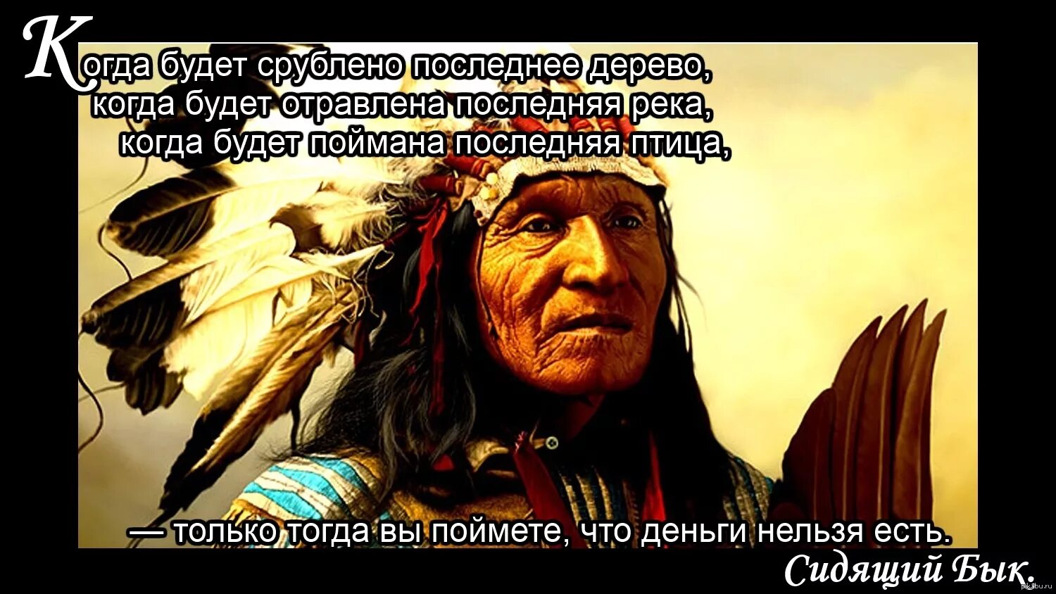 Цитаты вождя