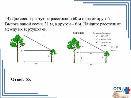 Длина которая больше 1 метра