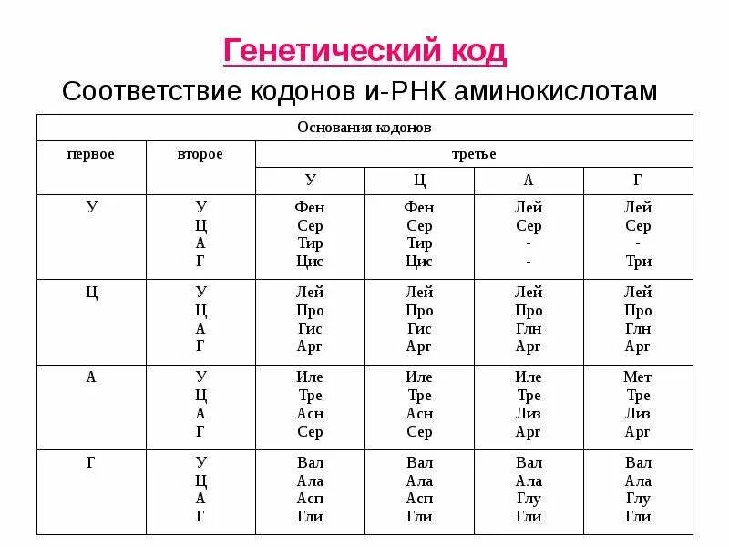 Таблица триплетов генетического кода и РНК. Таблица генетического кода и-РНК ДНК И РНК. Таблица генетический код ИРНК кодоны. Генетический код триплет и РНК таблица.