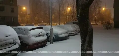 Беларусь присыпало снежком