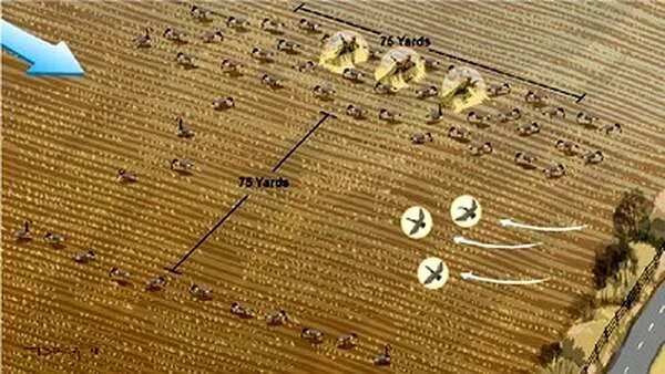 Схемы расстановки гусиных чучел. Схемы расстановки чучел гусей на охоте. Схемы расстановки гусиных чучел. Схемы расстановки гусиных чучел. Схема расстановки гусиных профилей.