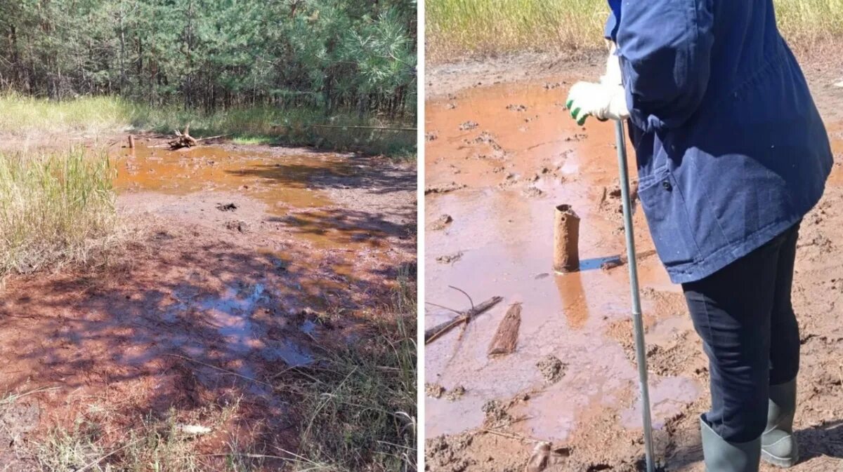 Загрязнение почвы в Воронеже. Загрязнение почв никелем. Торфяники фото. Загрязнение почвы Воронежской области.