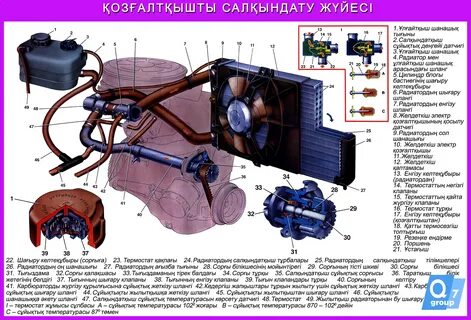 Ауыл қыздарымен секс видео