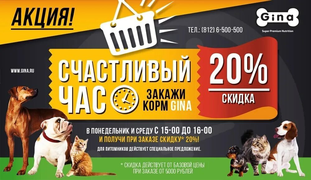 Корм акции. Корм для животных реклама. акции зоомагазинов. баннер корма. баннеры зоомагазинов акции.