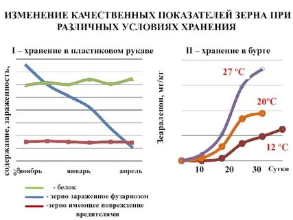 Коэффициент зерна