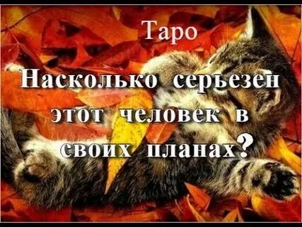На сколько серьезно