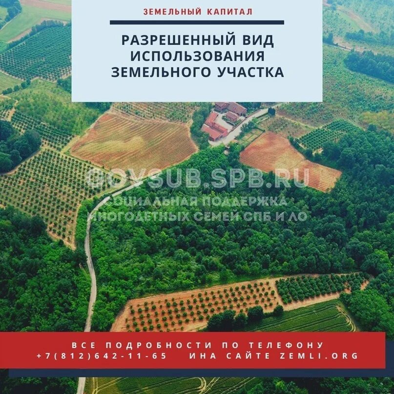 Земельный капитал условия. Земельный сертификат вологда. Земельный капитал условия. Земельный сертификат вологодская область. Земельный капитал в санкт-петербурге.