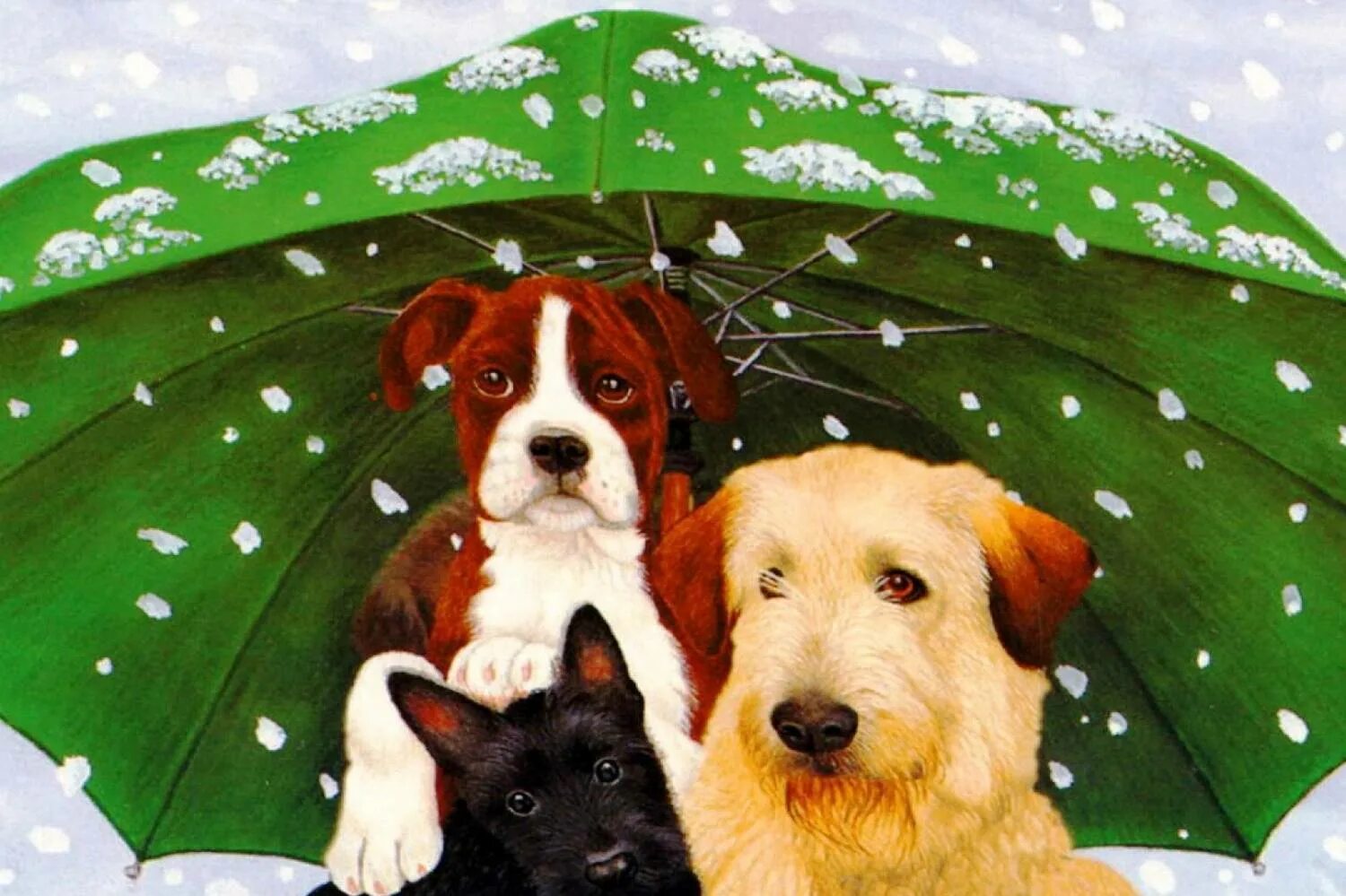 это знает всякий слушать