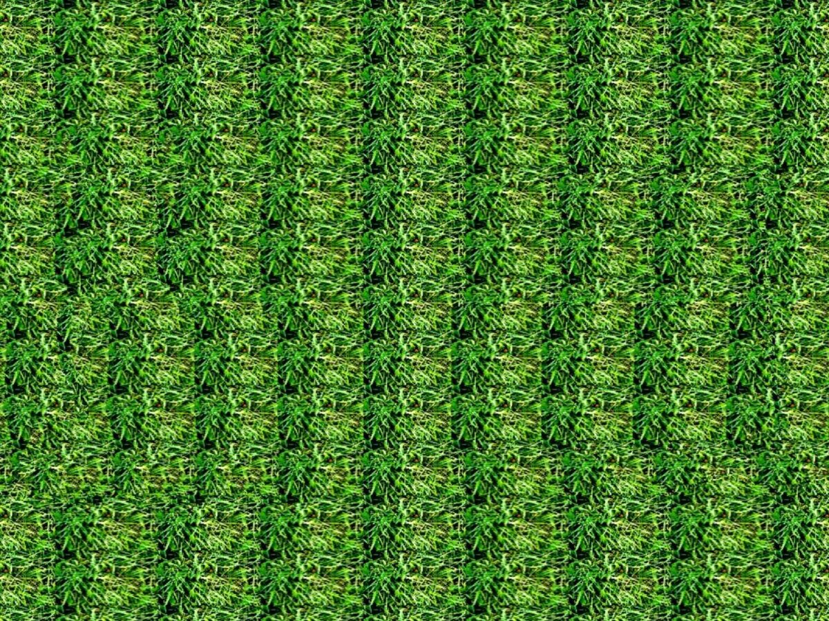 Стереокартинки шахматы. Стереокартинки для глаз сердце. Видишь получается. Фантомашки 3д. Стереограмма будда.