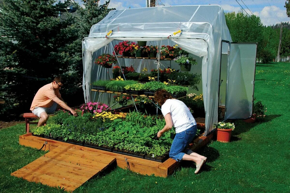 Что сажают в огороде. Картошка на даче. Дача выращивание. Картелев. Дача выращивание.