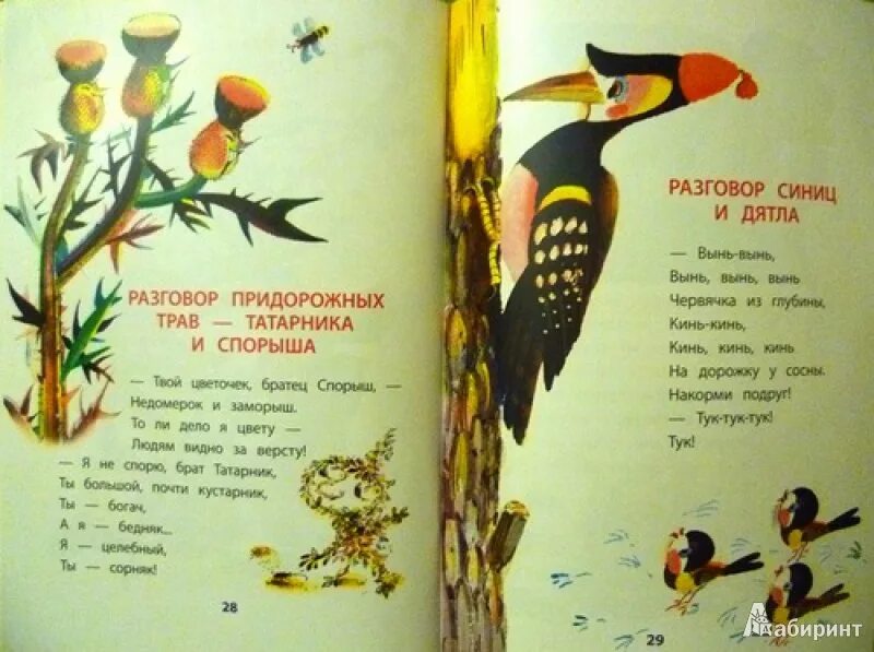 Диалог синички и ежика
