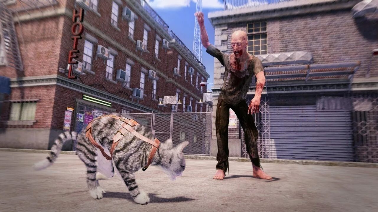Игры зомби коты. Max and maya: cat simulator. коты против зомби. зомби коты игра.