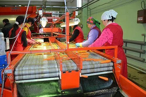 Сметана совхоз южно-сахалинский. Ао совхоз южно-сахалинский. Совхоз сахалинский. Совхоз сахалинский. Совхоз южно сахалинский логотип.