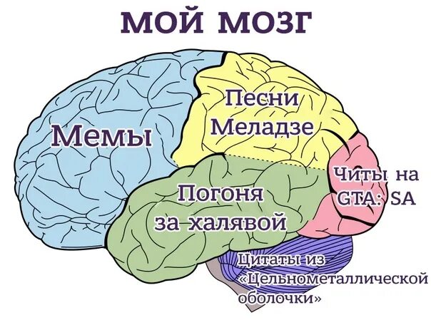 Отсутствие мозга. Мемы про мозг. Мозг Мем. Мозг для мема. Мемы про мозги.