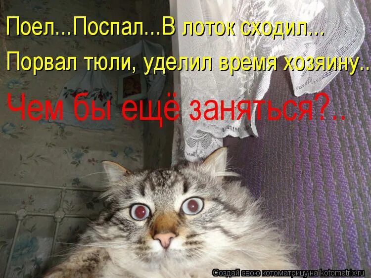поспи отдохни. хорошо выспаться. ударим крепким сном по мукам. пожру посплю. поел и спит.