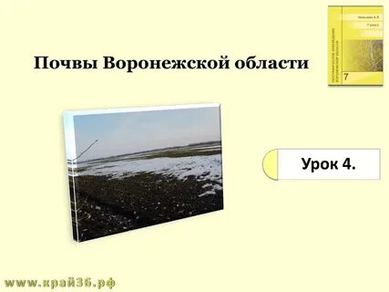 Почвы воронежской