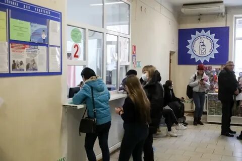 Приморский 24 телефон