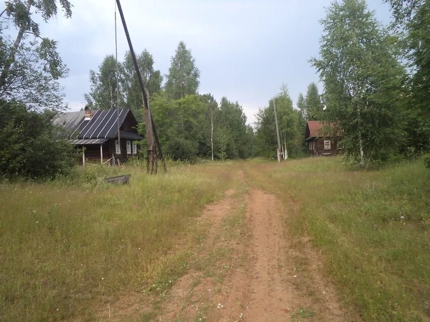 Все хотят быть нужными кому то Баба Люба. Дзен