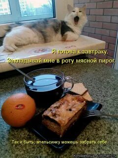 Спрашивай сметане