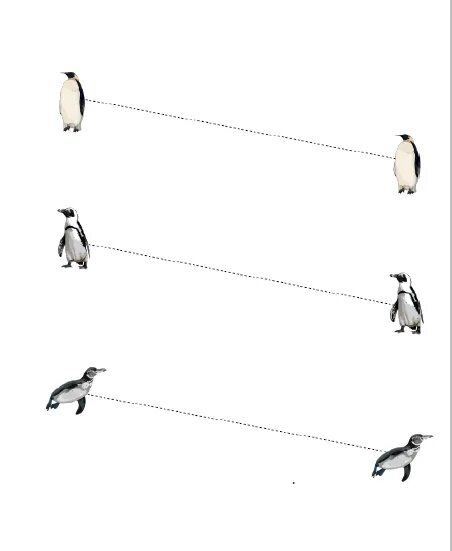 Комплексная работа пингвины ответы. Задания с пингвинами. Задания с пингвинами для дошкольников. Задача с пингвинами для дошкольников. Пингвины задания для детей.