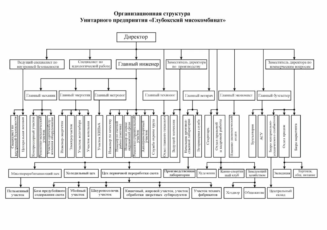 Типовая организационная структура предприятия. Организационная структура завода-изготовителя. организационная структура компании провайдера. организационная структура холдинга черкизово.