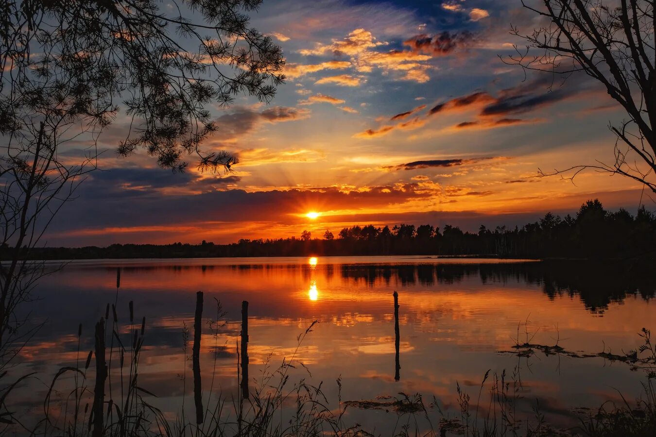 Холодный снова вечер. Пейзаж закат. Вечерний пейзаж. Вечерняя природа. Спокойной ночи.