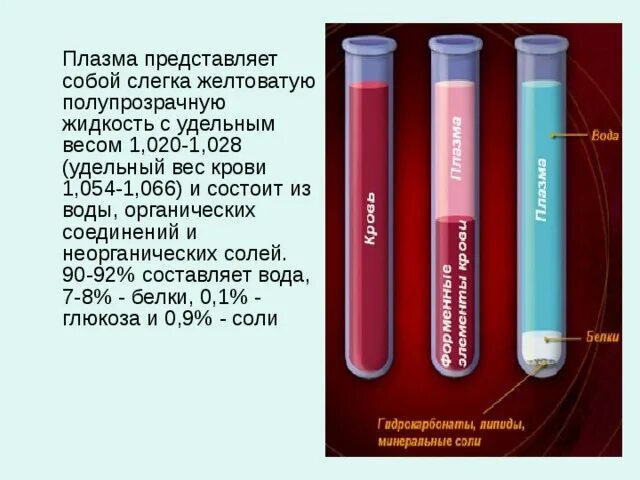 Повышенная плотность крови. Плазма крови. Плазма крови состоит из. Строение плазмы крови. Структура плазмы крови.