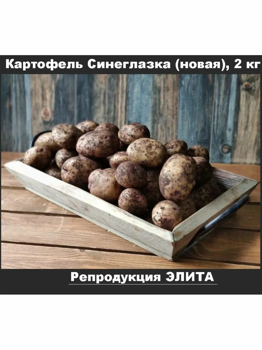 Картофель Агроцентр Коренево Синеглазка-6 100 шт - купить в Москве, цены в интер