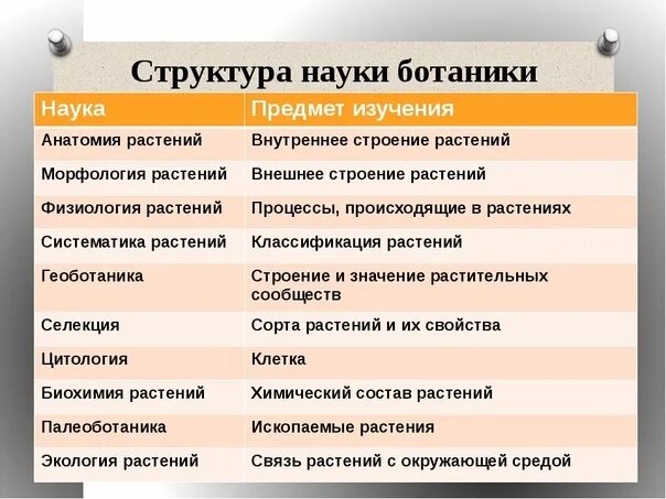 Какая ботаническая наука изучает размножение растений