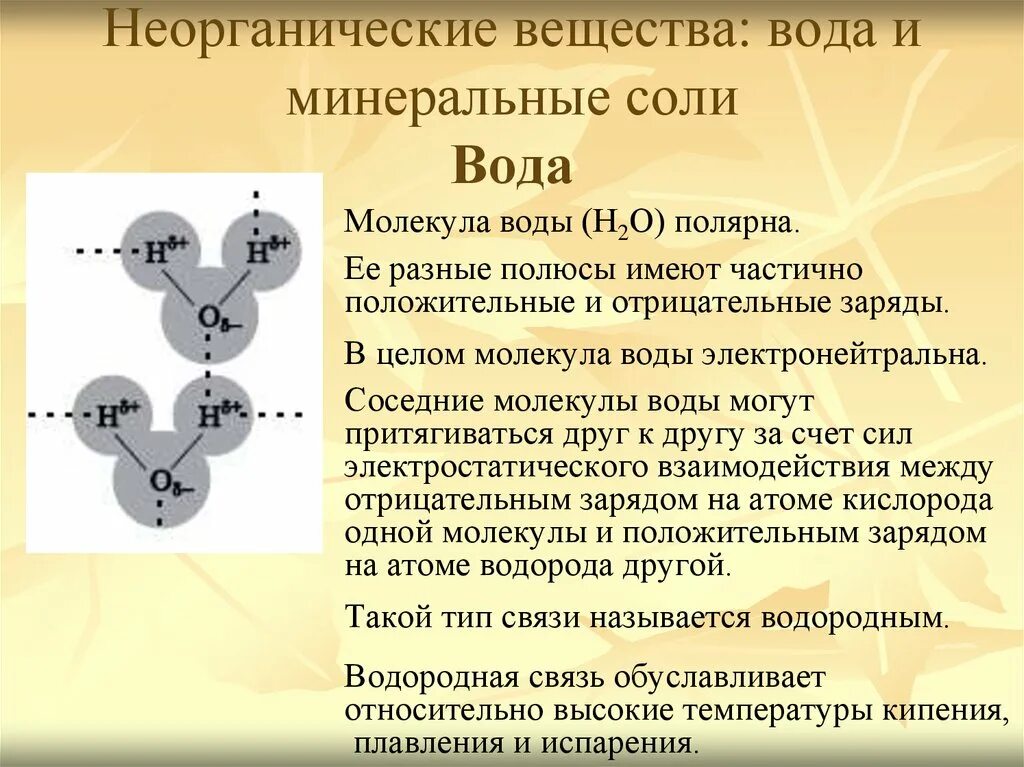 Неорганические вещества вода соль