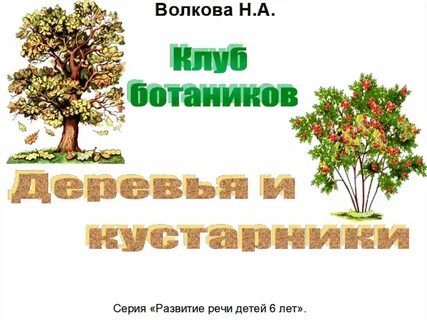 Развитие речи деревья и кустарники