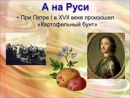 Растение петра первого