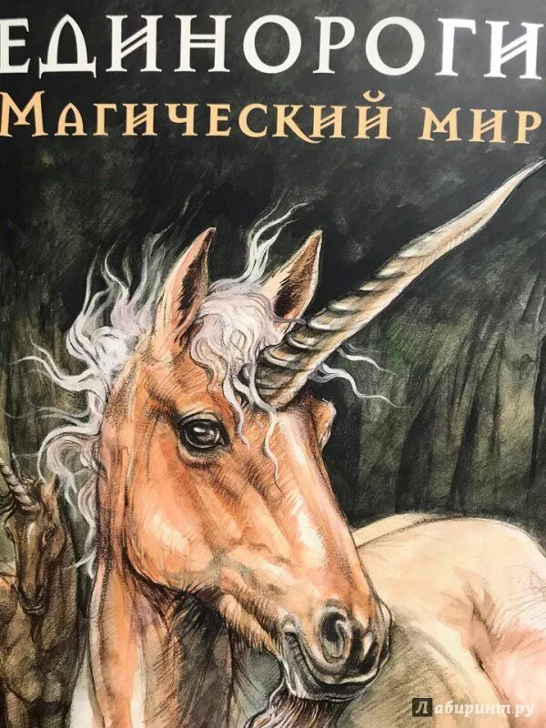 Читать книгу единорог. Единороги магический мир. книга единороги. единорог с книжкой. книги про единорогов для детей.