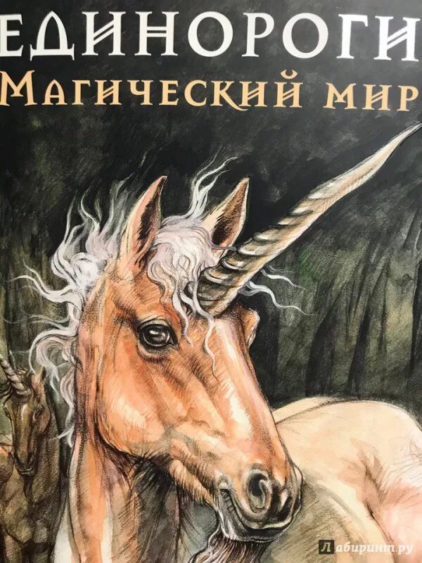 Книга Единороги. Единороги магический мир. Книги интересные Единорог. Книги про единорогов