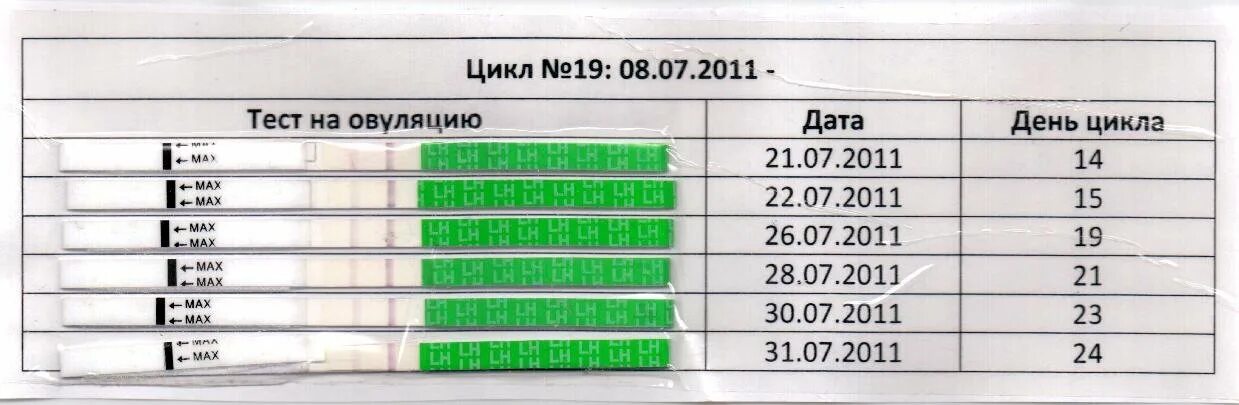 26 день цикла можно забеременеть. Тест на овуляцию. Результаты теста на овуляцию. Тест на овуляцию положительный. Тесты определяющие овуляцию.