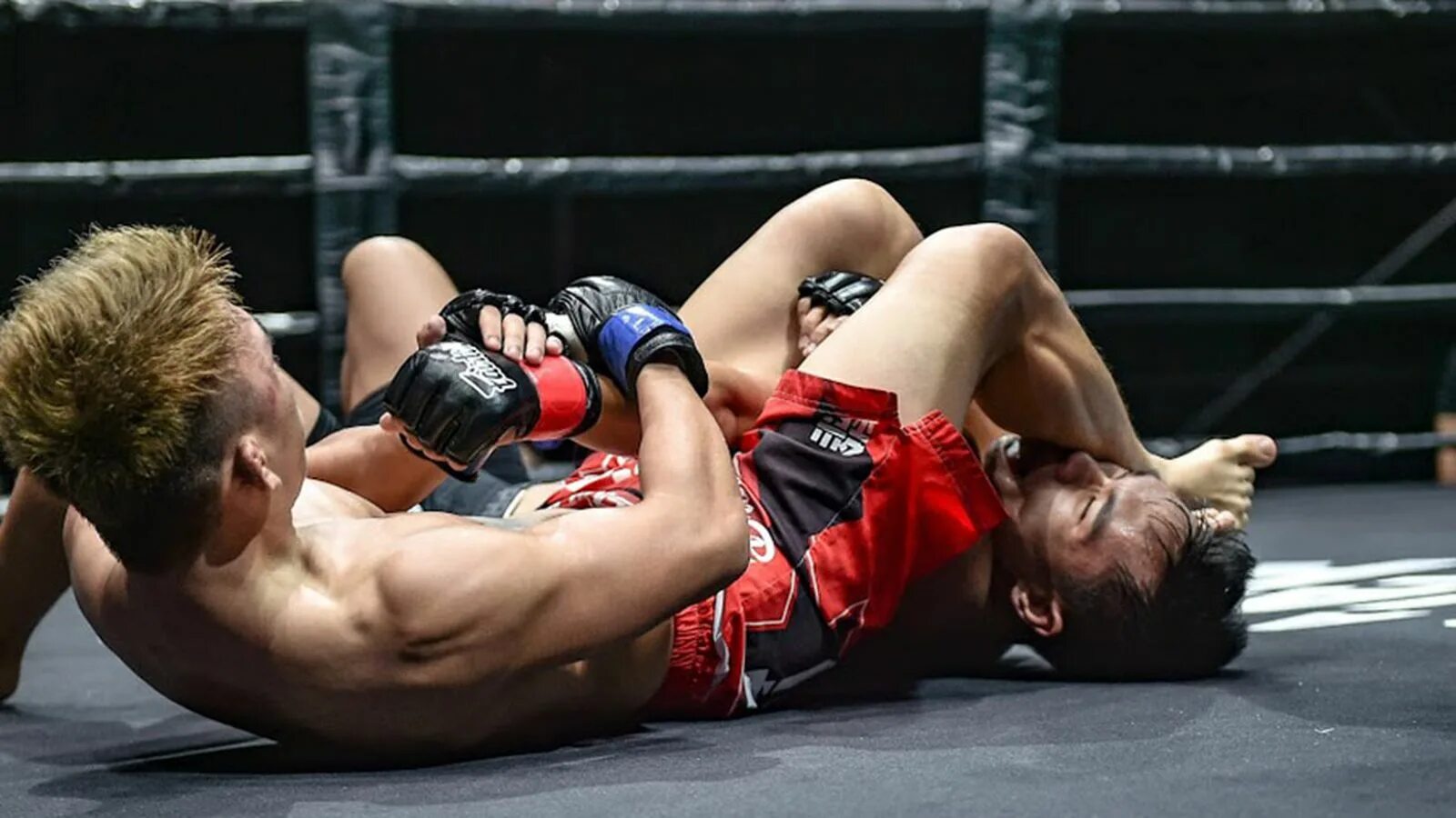 Evolved fights full. Борьба evolved fights. Evolved fight пх. Evolved fight video. Борьба evolved fights.